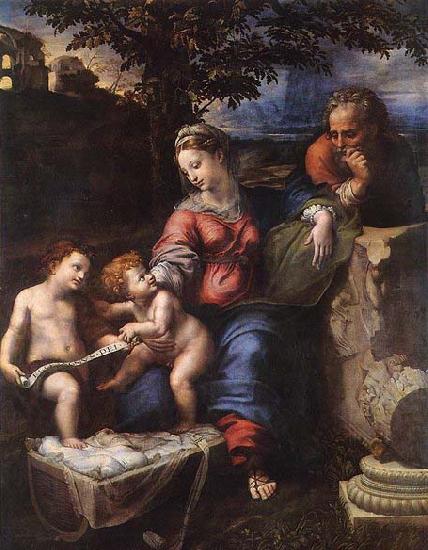 RAFFAELLO Sanzio Holy Family below the Oak